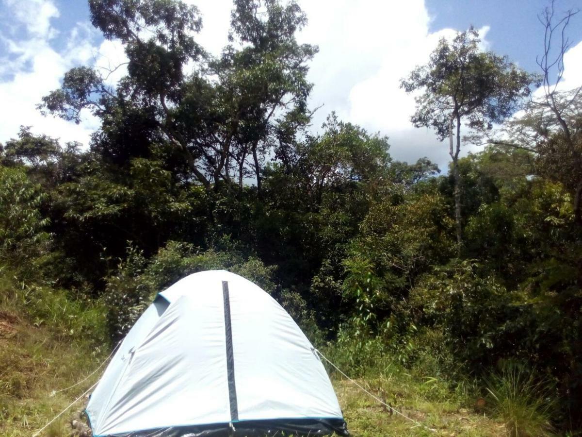 Camping & Chales Cogumelos Rock Campos do Jordão