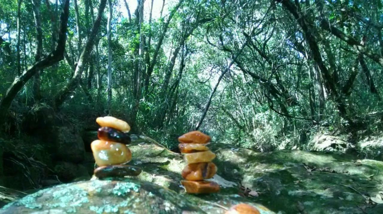 Acampamento Camping & Chales Cogumelos Rock